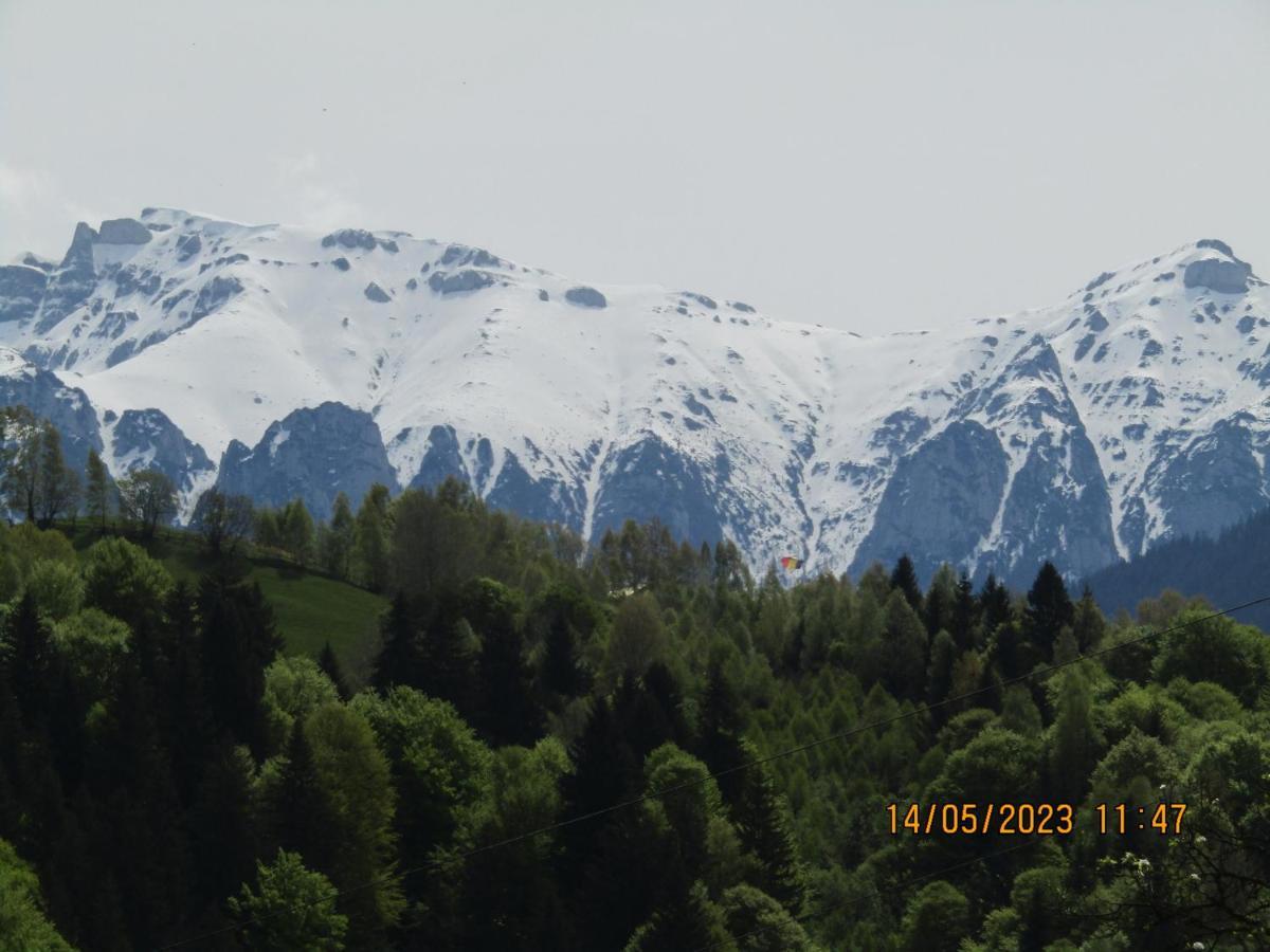 Ograda De La Munte Villa Törcsvár Kültér fotó