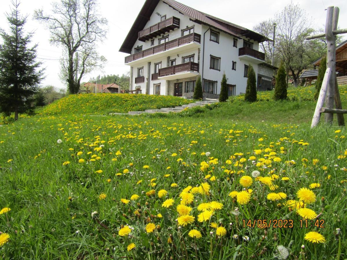 Ograda De La Munte Villa Törcsvár Kültér fotó