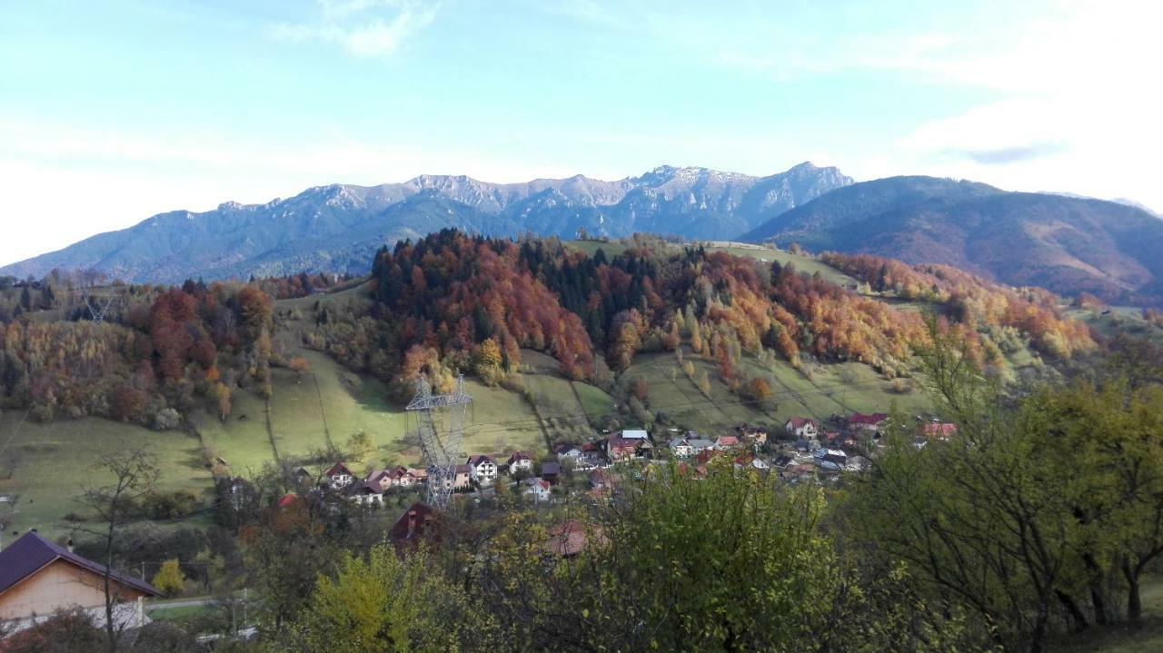 Ograda De La Munte Villa Törcsvár Kültér fotó