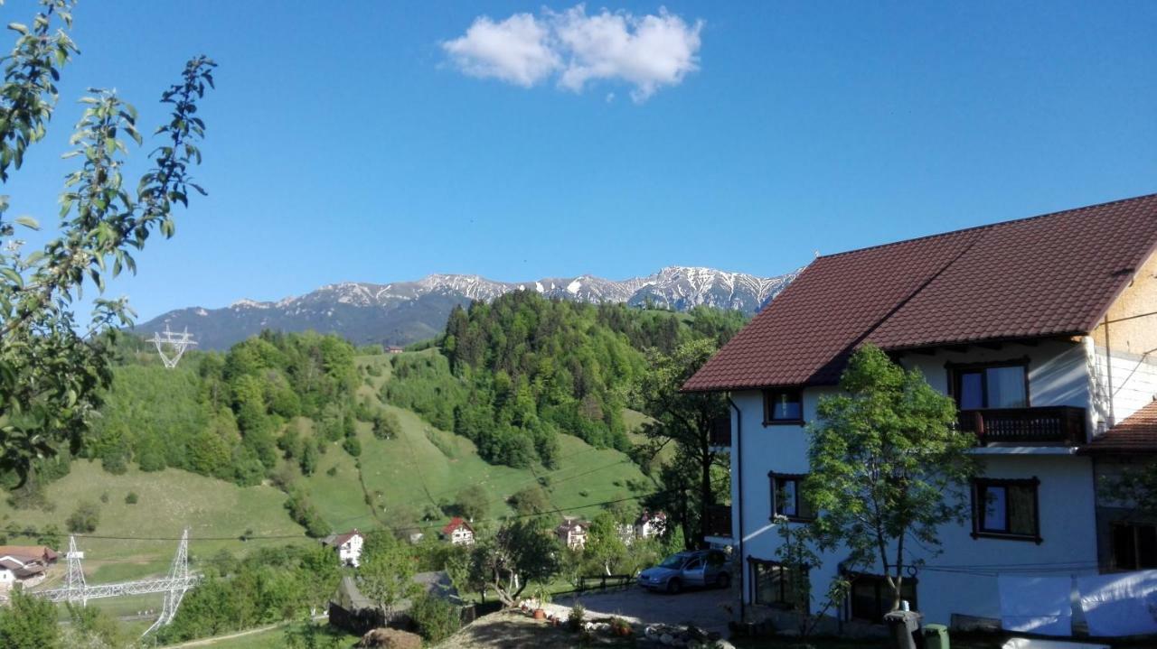 Ograda De La Munte Villa Törcsvár Kültér fotó